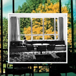 All Day, Every Day, All Night