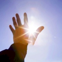 Fuerteventura Forever