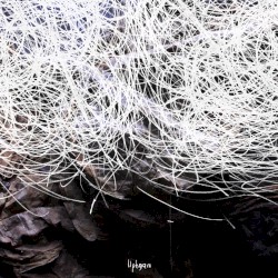 Liphgam