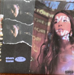 drivers license / burning down the house