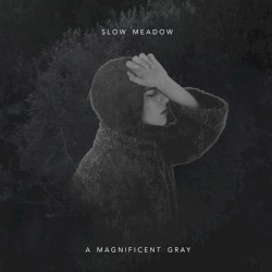 A Magnificent Gray / Memoria