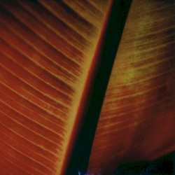 Underwritten IV
