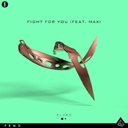 Fight for You