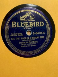 See That Coon in a Hickory Tree / Back to Birmingham