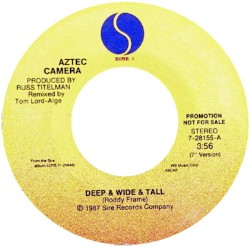 Deep & Wide & Tall