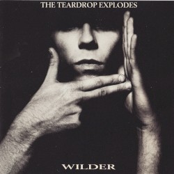 Wilder