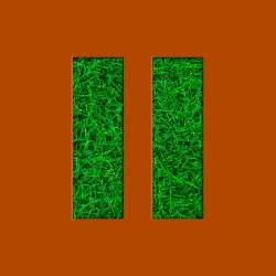 Fight! Fight! Fight!