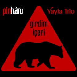 Girdim İçeri