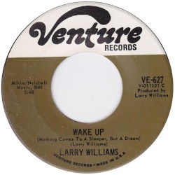 Wake Up (Nothing Comes to a Sleeper but a Dream) / Love, I Can't Seem to Find It