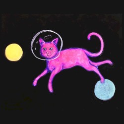 It’s Always in My Pocket