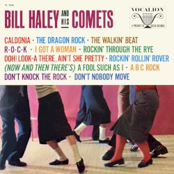 Bill Haley and His Comets