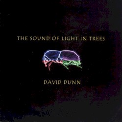 The Sound of Light in Trees