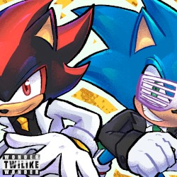 Check (Sonic × Shadow Cover)