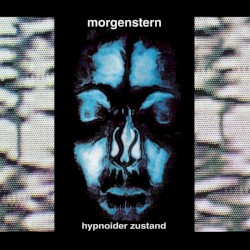 Hypnoider Zustand