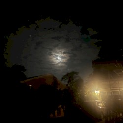 You Still Believe in Me