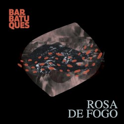 Rosa de Fogo