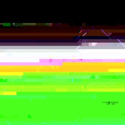 Habent sua fata libelli