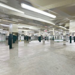 I Want It More Than I Want to Be Well