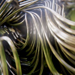 Sonic Healing Remixed