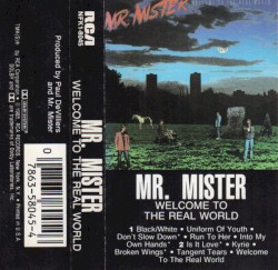 Welcome to the Real World