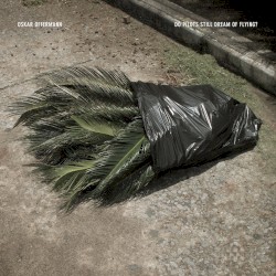 Do Pilots Still Dream of Flying?