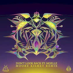 Don't Look Back (Moore Kismet remix)