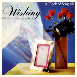 Wishing (If I Had a Photograph of You)