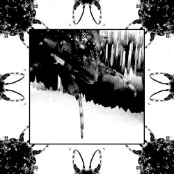 Street Insect (remix)