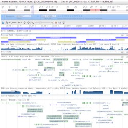 Sonification of Human Genome Assembly [GRCh38]