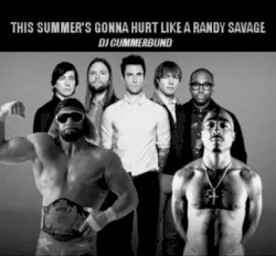 This Summer's Gonna Hurt Like A Randy Savage