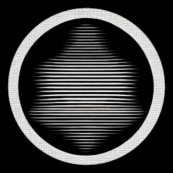 Stringed Illusion