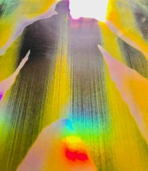 This Is Not Earth Music