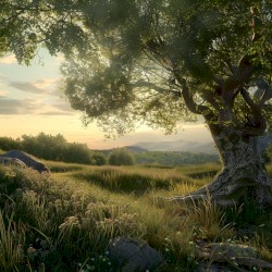 An hour for sleep 0003