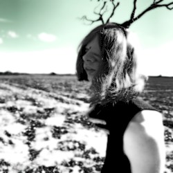 Freeroam 19 :: First Attempt at the Laurel