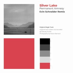 Permanent Amnesy (Evin Schneider Remix)