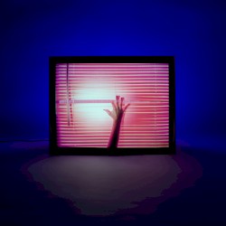 Screen Violence: Director’s Cut