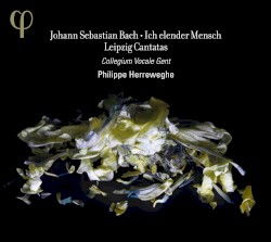 Ich elender Mensch & Leipzig Cantatas (BWV 44, 48, 73, 109)