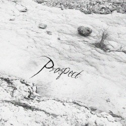 Prospect