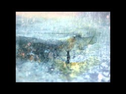 Ξεκούρδιστη Μπάντα