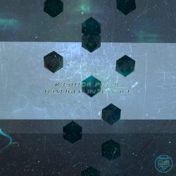 Damaged Interface