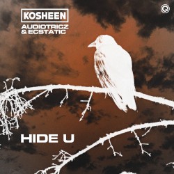 Hide U