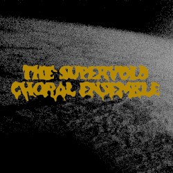 The Supervoid Choral Ensemble