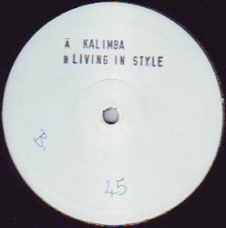 Kalimba / Living in Style