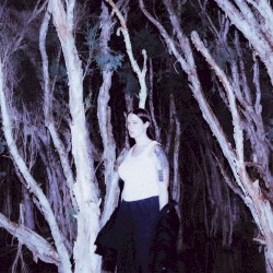 If Not To Give A Fantasy