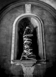 Souls Are Like New Diseases Eating Their Way Through Everything That's Truly Sacred in the Abstract Universe