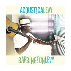 Acousticalevy