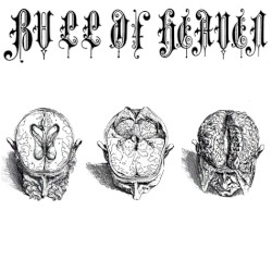 018: Candles Green, Heads and Skulls