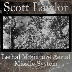 Lethal Miniature Aerial Missile System