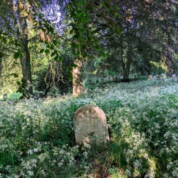 The Burial of the Dead