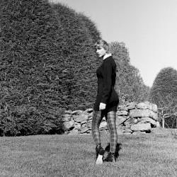 willow (dancing witch version) (Elvira remix)